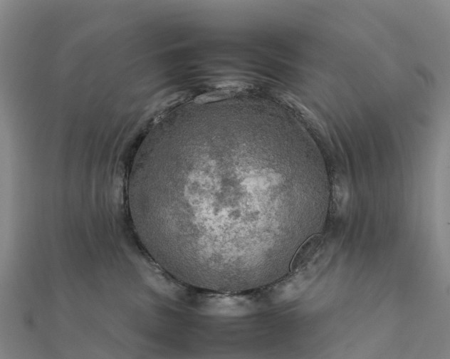 X0000112090379200908181309