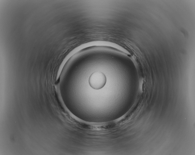 X0000112090380200908181309