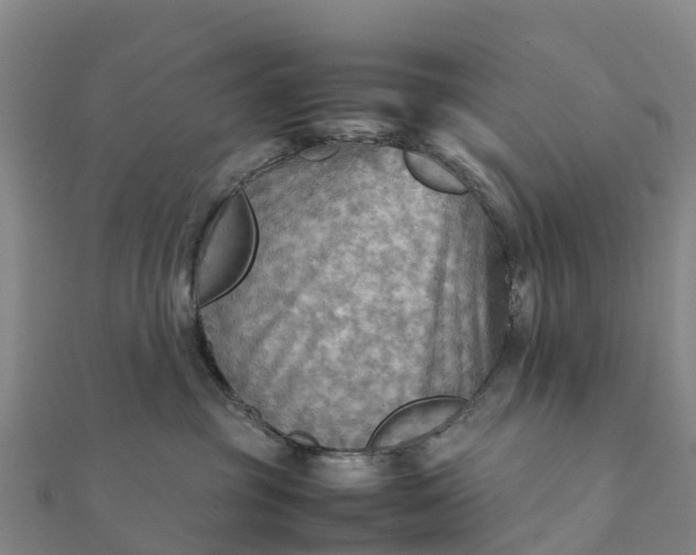 X0000112090381200908181309