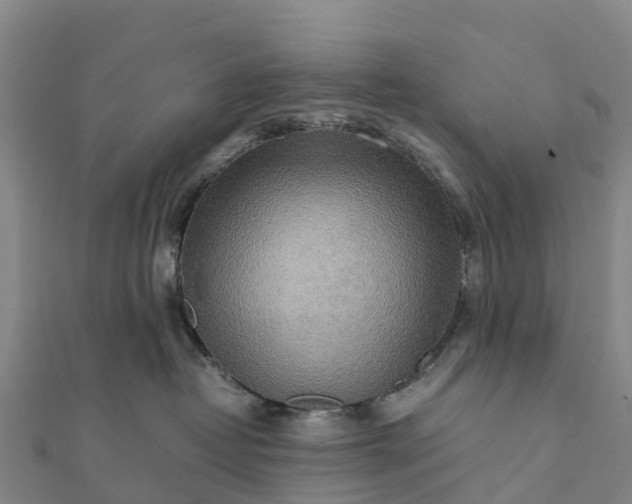 X0000112090382200908181309