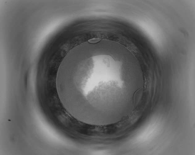 X0000112090383200908181309