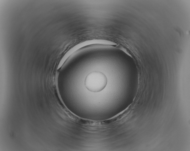 X0000112090384200908181309