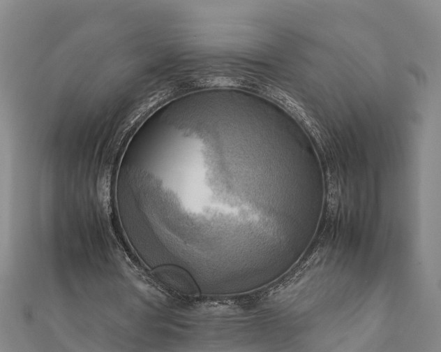 X0000112090386200908181308