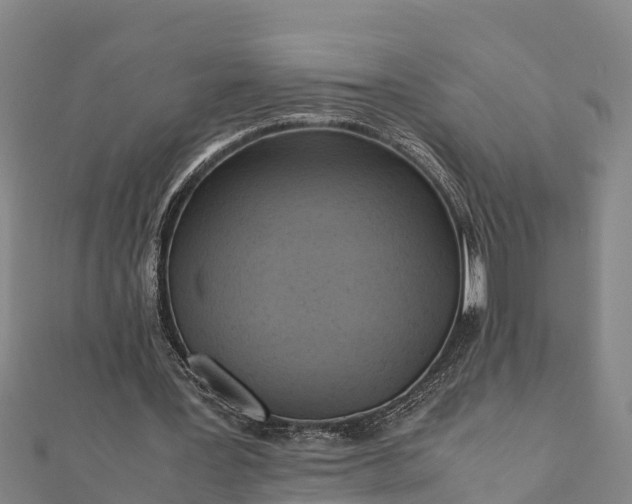 X0000112090387200908181308