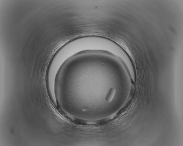 X0000112090389200908181308