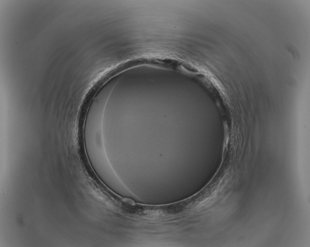 X0000112090391200908181308