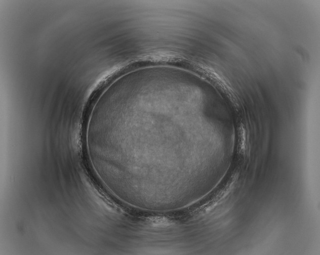 X0000112090392200908181308