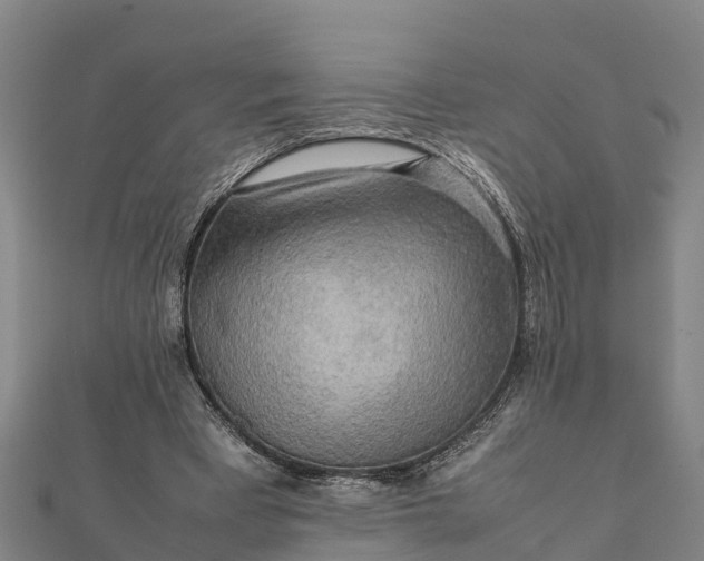 X0000112090393200908181308