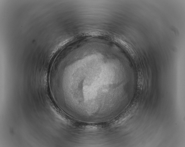 X0000112090394200908181308