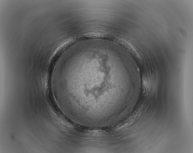 X0000112090396200908181308