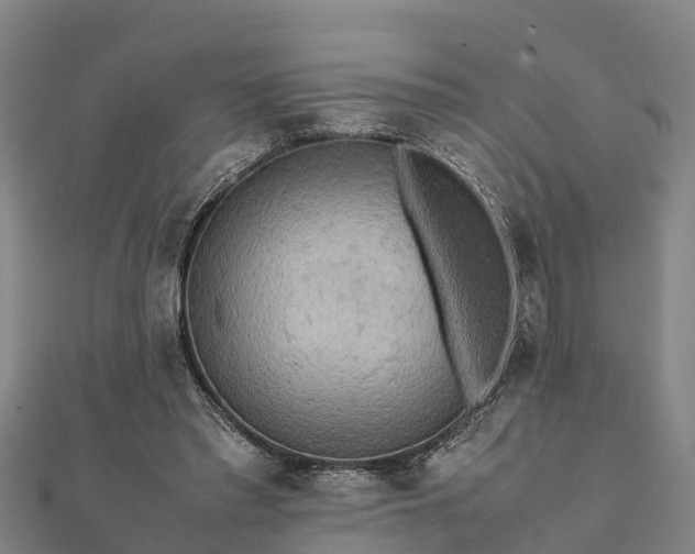 X0000112090397200908181308