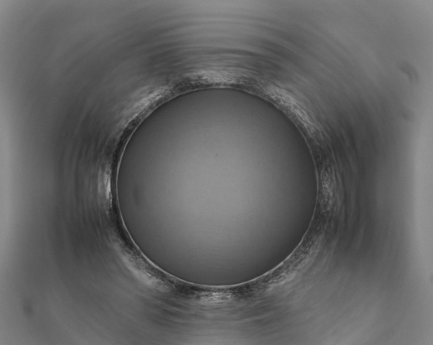 X0000112090398200908181308