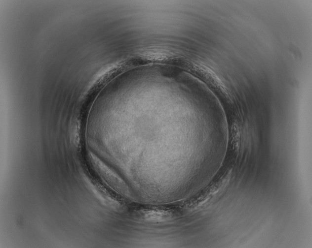 X0000112090400200908181308