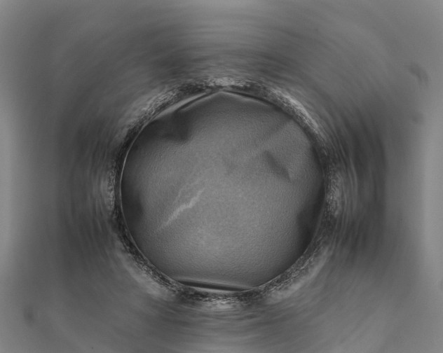 X0000112090402200908181308