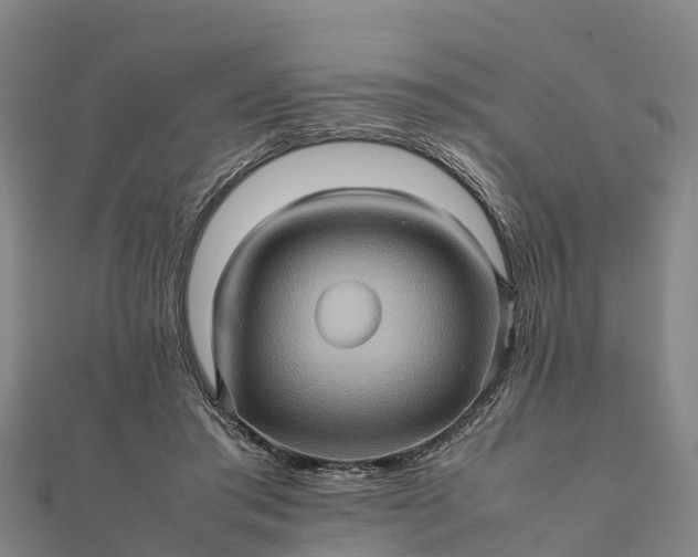 X0000112090405200908181308