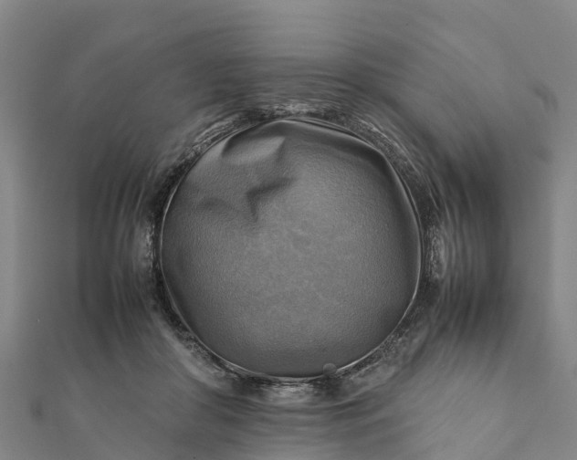 X0000112090410200908181308