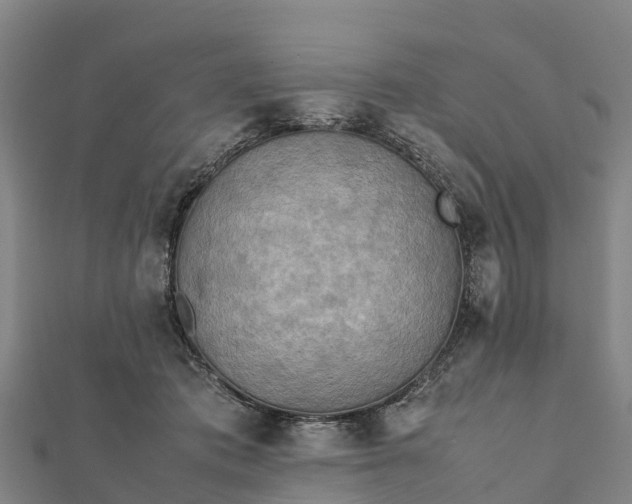 X0000112090413200908181308