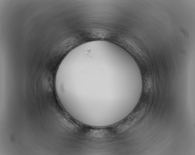 X0000112090414200908181308