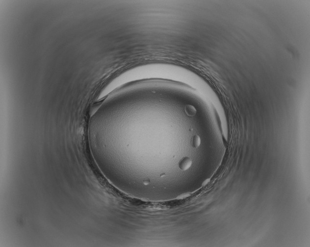 X0000112090415200908181308