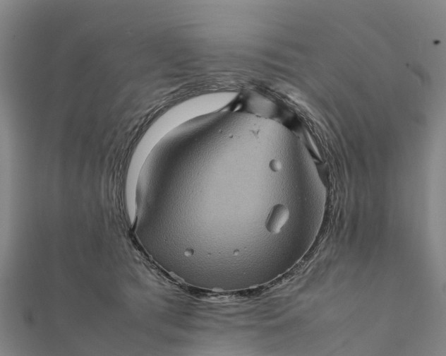 X0000112090417200908181308