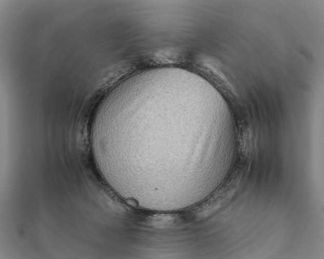 X0000112090418200908181308