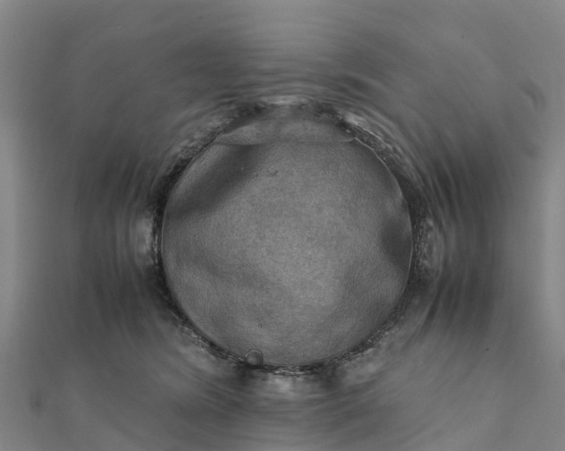 X0000112090420200908181308