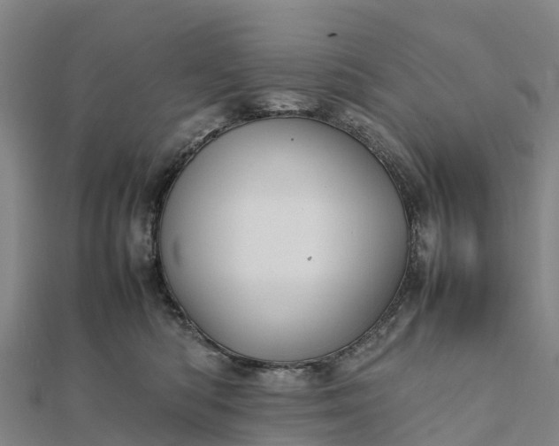 X0000112090422200908181308