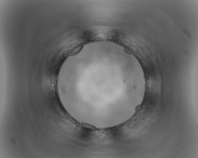 X0000112090423200908181308