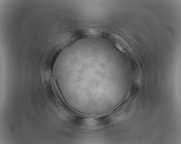 X0000112090425200908181308