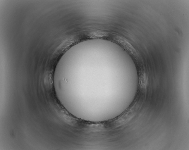 X0000112090426200908181308