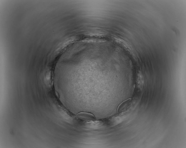 X0000112090428200908181308