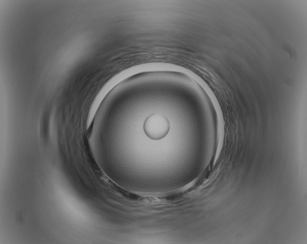 X0000112090429200908181308