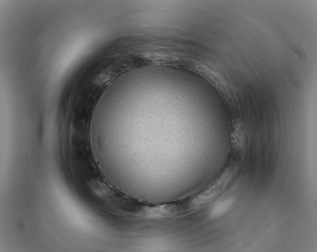 X0000112090430200908181308