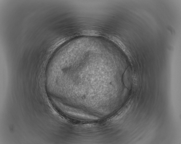 X0000112090433200908181307