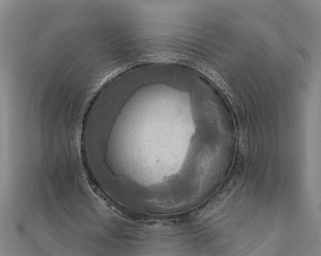 X0000112090434200908181307