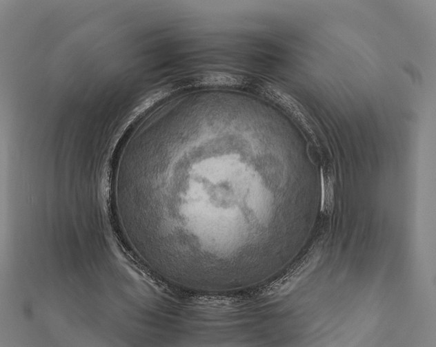 X0000112090435200908181307