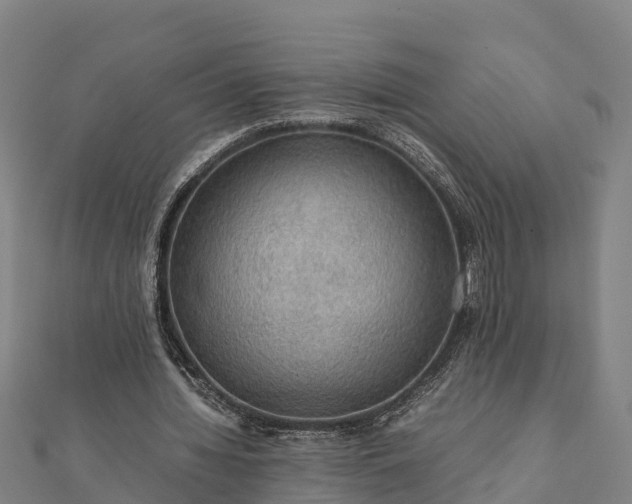 X0000112090436200908181307