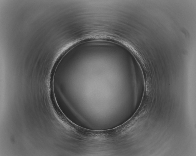 X0000112090438200908181307