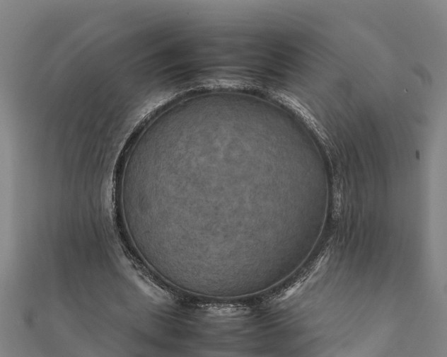 X0000112090439200908181307