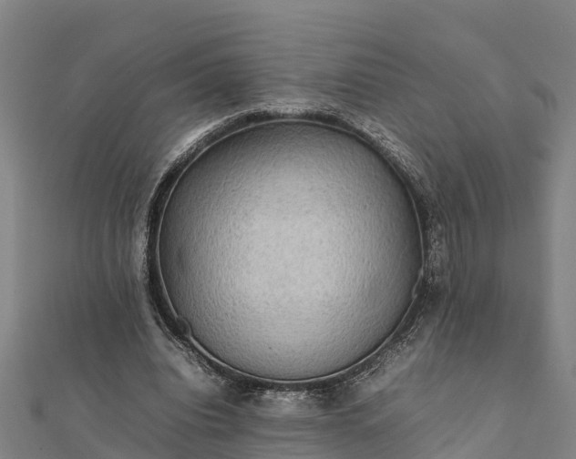 X0000112090440200908181307