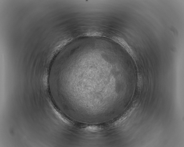 X0000112090441200908181307