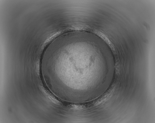 X0000112090442200908181307