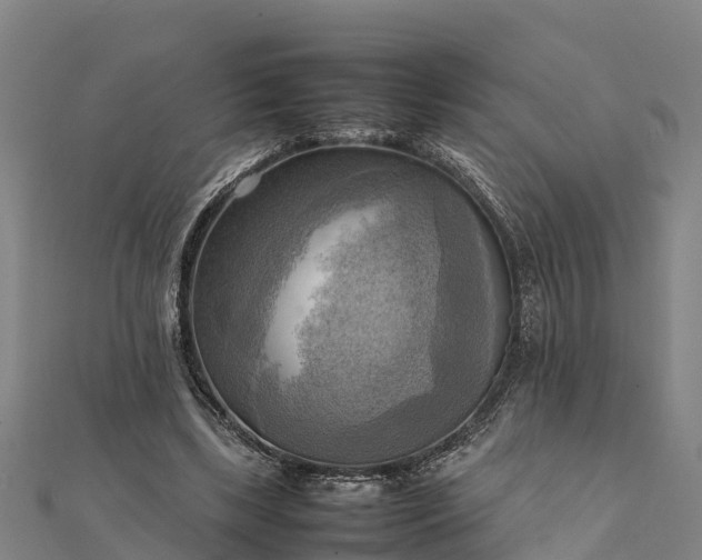 X0000112090443200908181307