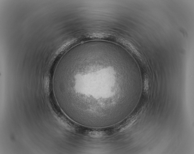 X0000112090444200908181307