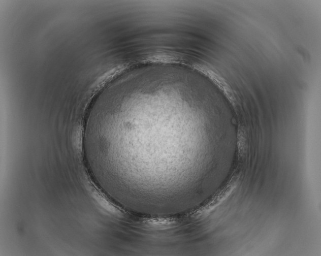 X0000112090445200908181307