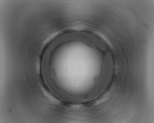 X0000112090446200908181307