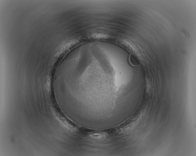 X0000112090447200908181307