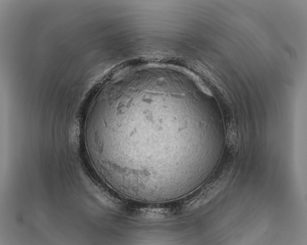 X0000112090448200908181307