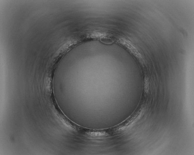 X0000112090449200908181307