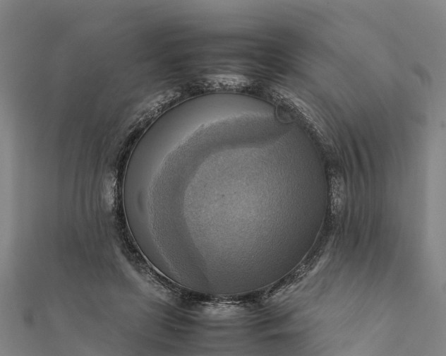 X0000112090451200908181307